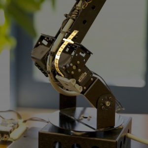 Robot Arm - Printed Electronics